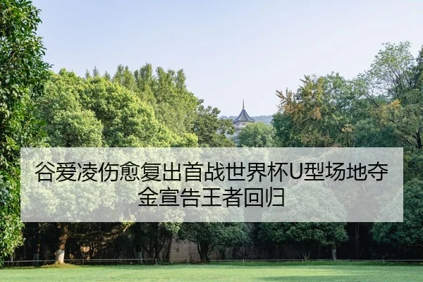 谷爱凌伤愈复出首战世界杯U型场地夺金宣告王者回归