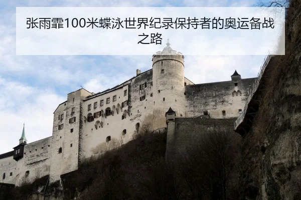 张雨霏100米蝶泳世界纪录保持者的奥运备战之路