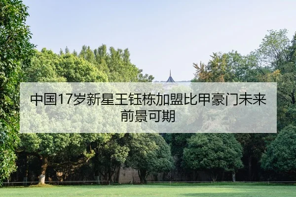 zhong-guo-sui-xin-xing-wang-yu-dong-jia-meng-bi-jia-hao-men-wei-lai-qian-jing-ke-qi-3-142.jpg