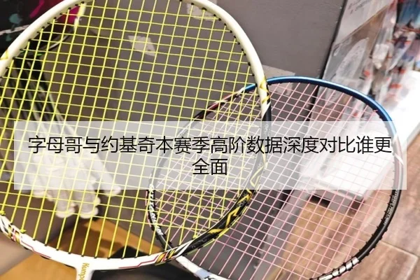 字母哥与约基奇本赛季高阶数据深度对比谁更全面